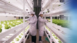 도시 스마트팜, 미래형 장애인 일자리 주목