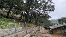 미 사격장 토사 붕괴 포천 농장, 1년 만에 또 피해