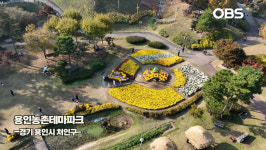 [경인영상터치] 가을빛 물든 용인농촌테마파크