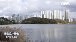 [경인영상터치] 도심 속 작은 휴양지, 동탄 호수공원 산책