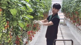 [비즈투데이] GS더프레시, 발달장애 일터 자원봉사