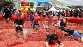 광주시, 이달 19~21일 퇴촌 토마토 축제 진행