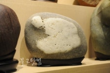 달마와 나한상 등 불교테마 수석관 건립