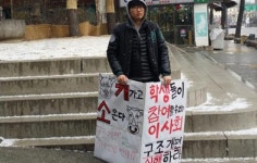 동국대 학생, 조계사 앞 피켓 시위