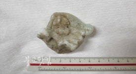 박물관 있던 130 사리 조계종으로