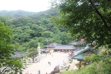 용문사