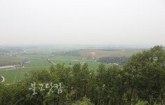 명종대왕 태실