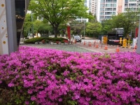 [날씨] 전국 대체로 맑음…미세먼지 좋음~보통