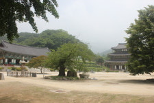 모악산 금산사