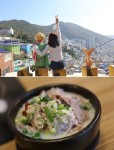 부산 감천문화마을 맛집 몽실종가돼지국밥 줄서서먹는 부산3대돼지국밥 맛집