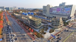 경기 서부축 중심, 일산 호수공원 가로수길 주목