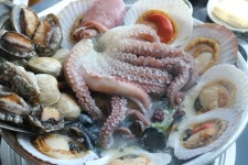 속초에서 몸보신하자. 동명항 숨은 해물탕 맛집 홍대포의 특별함