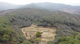 도선국사 옥룡사지의 지령사상
