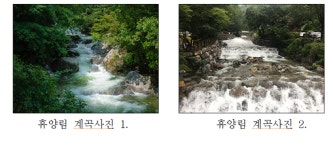 강원도 집다리골 자연휴양림 낮기온 춘천명동보다 8℃ 낮아