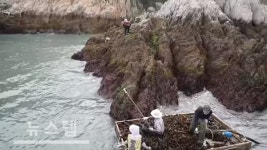 순수함 존재하는 명품마을…하루 55명 출입 가능한 영산도는 어떤 섬?