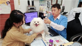 대구시, 반려견 광견병 예방접종 실시