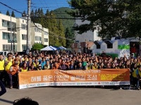 경상남도-경남도자원봉사센터, 안전한 골목길 쏠라로드 봉사활동