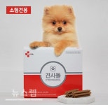 디펫바이오 견사돌 등 犬 건강식품 전성시대…말 그대로 개 팔자가 상팔자