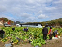 공영도시농업농장수확·나눔 실천활짝