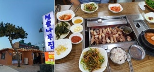 효리의단골집 제주도성산일출봉 맛집 쫄깃한육질 풍부한육즙 제주흑돼지 청솔나무집