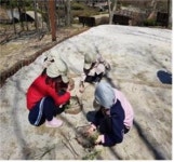 대아수목원 찾아가는 유아숲체험
