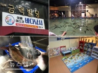 대구 실내낚시 카페 아빠어디가, 도심 속에서 즐기는 바다낚시…이색 데이트코스 가볼만한곳
