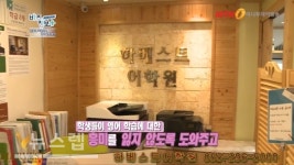 창원 영어학원 하베스트 어학원, 학생 수준별 맞춤 수업 제공