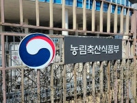 멧돼지 폐사체서 아프리카돼지열병 검출, 누적 378건