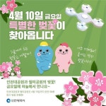 하늘서 보는 인천의 벚꽃 터널... 인천대공원·월미공원 벚꽃길 드론영상