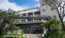 카페도 숲세권이 뜬다? 카페캠프통 압구정살롱점, 야외 정원 갖춘 힐링카페로 인기