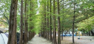 다하누한우프라자가 선정한 영월 가볼만한곳…자연경관 느낄 수 있는 가을여행지