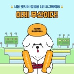 우리아이 전문 펫시터가 돌봐드려요, 도그메이트 부산지역 진출 서비스 확장