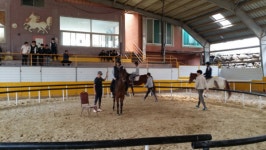 전북도내 학생게 승마체험 기회 제공
