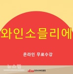 한국사이버진흥원, 글쓰기지도사·와인소믈리에 등 온라인 민간자격증 원격교육 무료제공