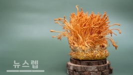 모이식품 농산물의 진정한 가치를 오롯이 담아내다