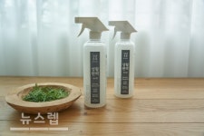 강남주부, 편백오일수 피톤치드탈취제 생활편백 출시