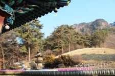 4. 사자산 법흥사 적멸보궁