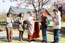 루푸스병 럭스미 라마씨에 250만원