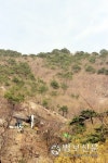 8. 청도 운문사 사리암
