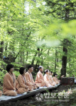 산사서 보내는 여름휴가로 더위,번뇌 씻는다