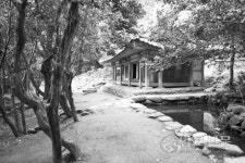 다산과 초의 선사 향기 담은 사랑이야기