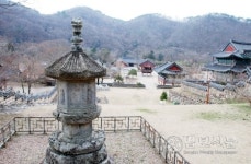 장흥 보림사 주지 일선 스님