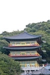 부산 삼광사, 효행실천 극락전 낙성