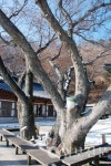 24. 강화도 고려산 적석사