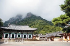 31. 백암산 백양사