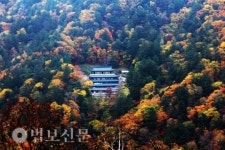 35. 오대산 중대사자암