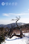 3. 태백 당골광장-망경대-천제단-유일사