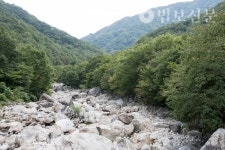 6. 송광사의 율목봉산 관리