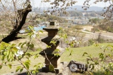 3층 석탑 봄에 취하다