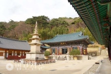 절에 살고 싶던 소녀, 인홍 스님 첫 친견에 출가 단행